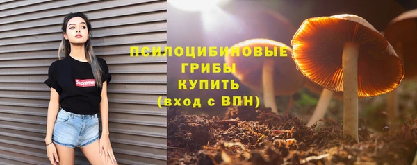 дживик Алексин