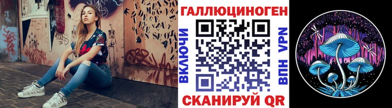 Псилоцибиновые грибы Psilocybine cubensis мега маркетплейс Новоузенск